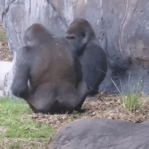 Acid GIFs, August 14 (25 gifs)