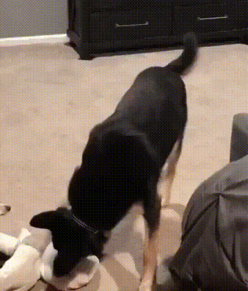 Acid GIFs, August 14 (25 gifs)
