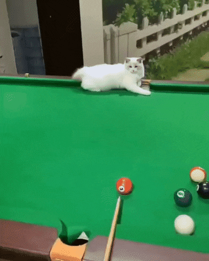 Acid GIFs, August 14 (25 gifs)