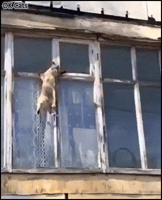 Acid GIFs, August 14 (25 gifs)