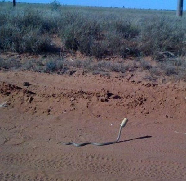 Bad Days Happen (20 pics)