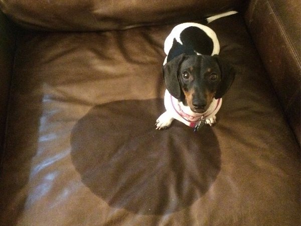 Bad Days Happen (20 pics)