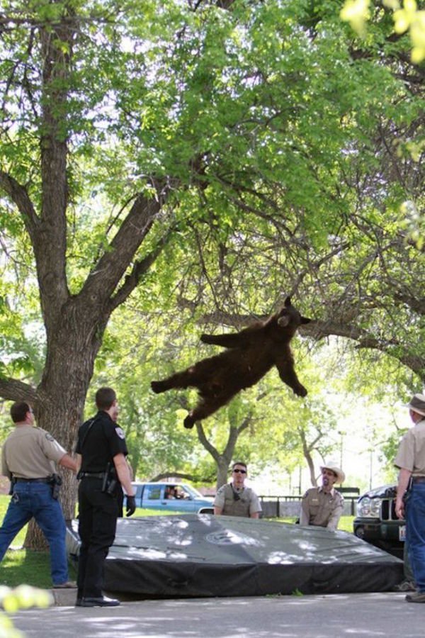 Bad Days Happen (20 pics)