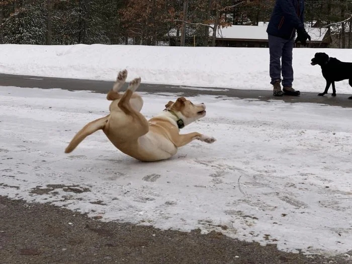 Right Moment (16 pics)