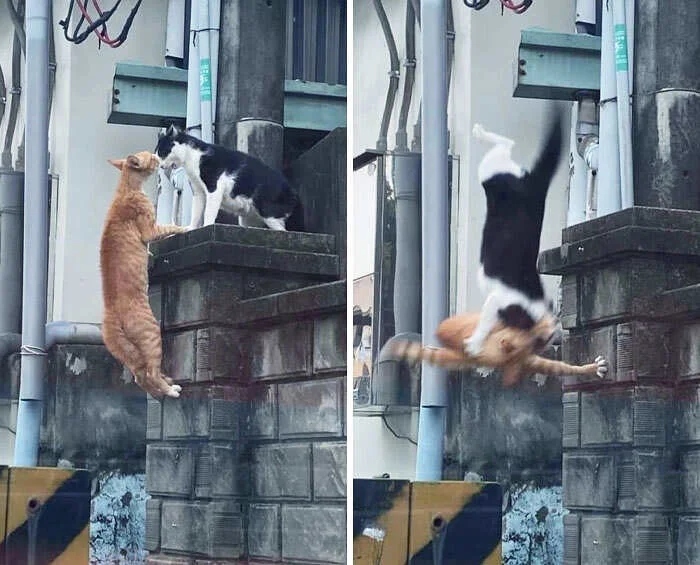 Right Moment (16 pics)