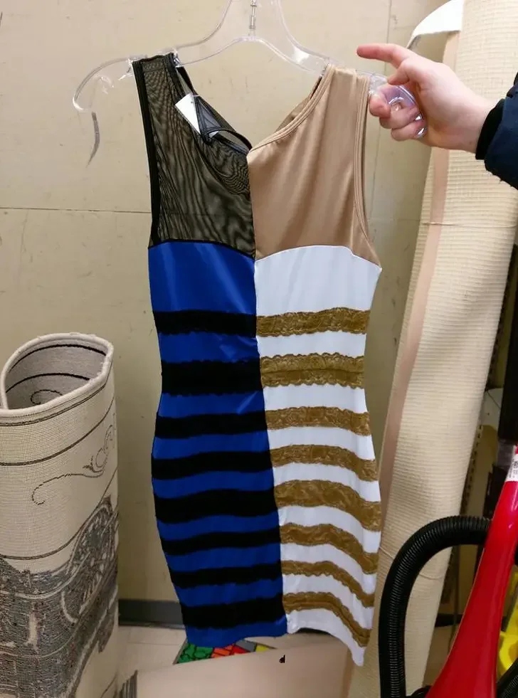 Weird Finds In Thrift Shops (15 pics)