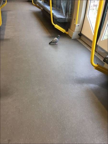Daily Pictures. Part 1 (59 pics)