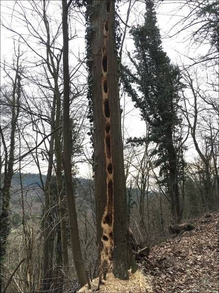 Daily Pictures. Part 1 (59 pics)