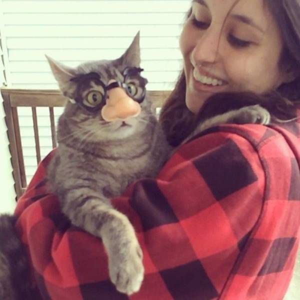 Daily Pictures. Part 2 (58 pics)