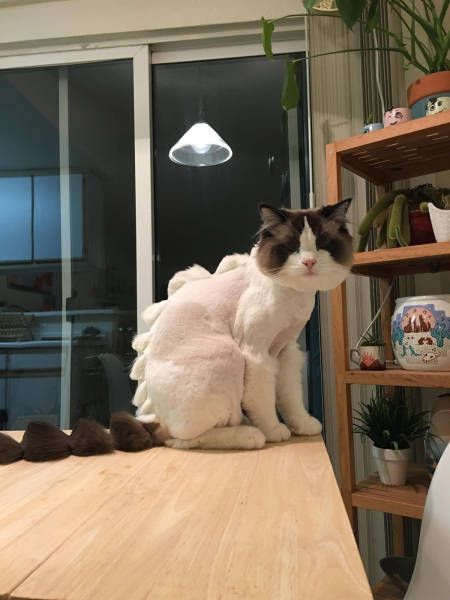 Daily Pictures. Part 2 (58 pics)