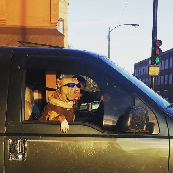 Daily Pictures. Part 2 (58 pics)