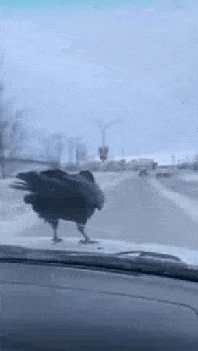 Acid GIFs, August 15 (25 gifs)