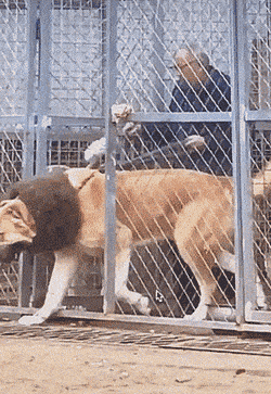 Acid GIFs, August 15 (25 gifs)
