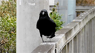 Acid GIFs, August 15 (25 gifs)