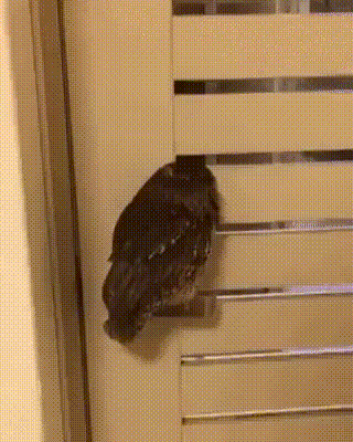 Acid GIFs, August 15 (25 gifs)