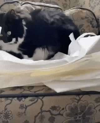 Acid GIFs, August 15 (25 gifs)