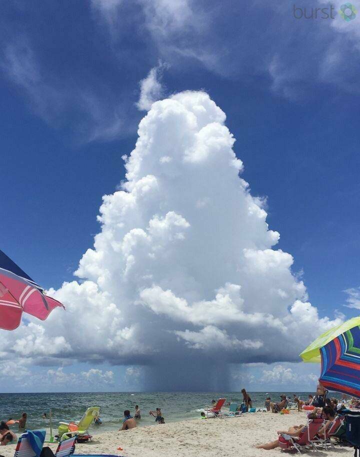 Daily Pictures. Part 2 (61 pics)