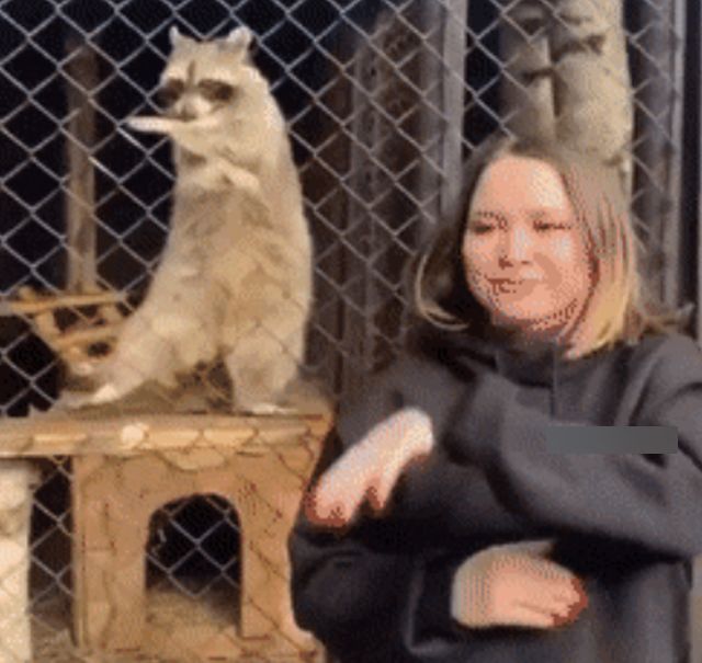 Acid GIFs, August 18 (25 gifs)