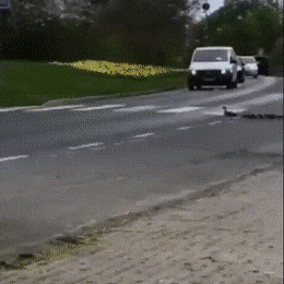 Acid GIFs, August 18 (25 gifs)
