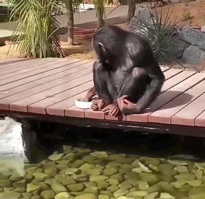 Acid GIFs, August 18 (25 gifs)