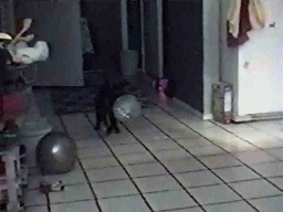 Acid GIFs, August 18 (25 gifs)