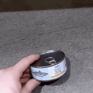 Acid GIFs, August 18 (25 gifs)