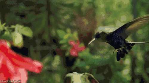 Acid GIFs, August 18 (25 gifs)