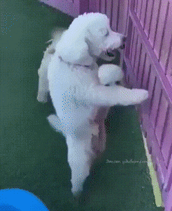 Acid GIFs, August 18 (25 gifs)
