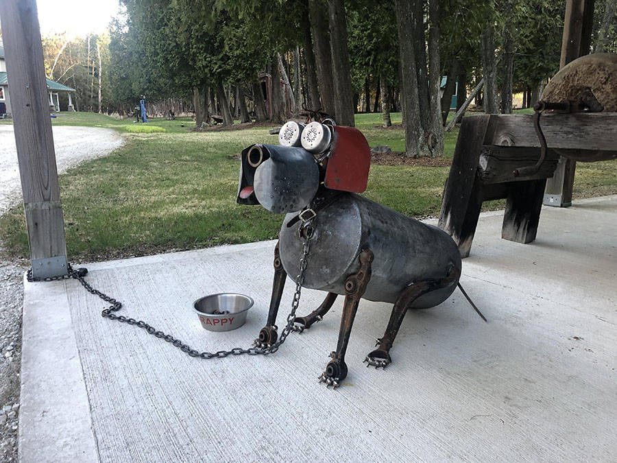 Daily Pictures. Part 1 (63 pics)