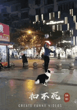 Acid GIFs, August 19 (25 gifs) Acid GIFs, August 19 (25 gifs)