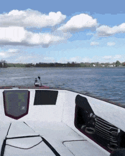 Acid GIFs, August 19 (25 gifs)
