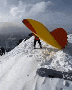 Acid GIFs, August 19 (25 gifs) Acid GIFs, August 19 (25 gifs)