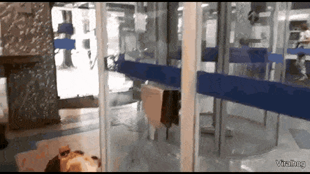 Acid GIFs, August 19 (25 gifs) Acid GIFs, August 19 (25 gifs)