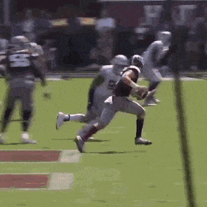 Acid GIFs, August 19 (25 gifs) Acid GIFs, August 19 (25 gifs)
