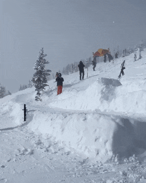 Acid GIFs, August 19 (25 gifs)