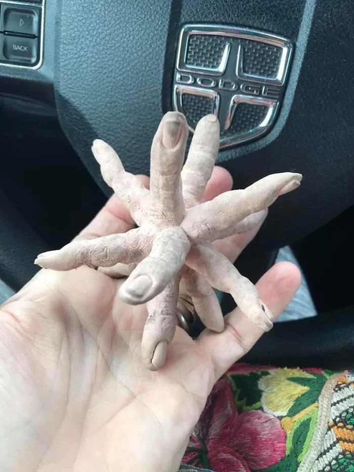Weird Finds In Thrift Shops (18 pics)