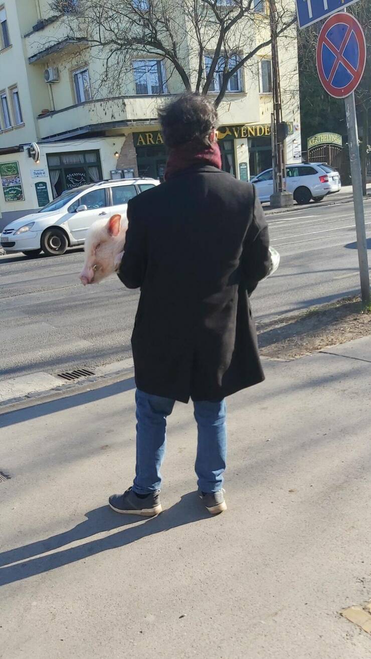 Daily Pictures. Part 2 (62 pics)
