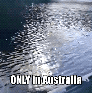Acid GIFs, August 20 (25 gifs) Acid GIFs, August 20 (25 gifs)