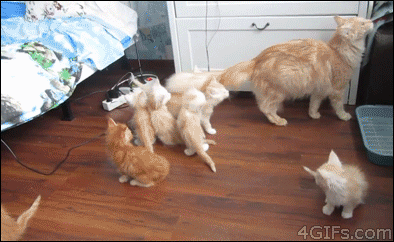 Acid GIFs, August 20 (25 gifs) Acid GIFs, August 20 (25 gifs)
