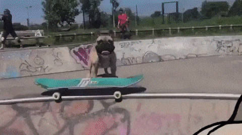 Acid GIFs, August 20 (25 gifs) Acid GIFs, August 20 (25 gifs)