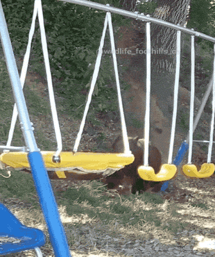 Acid GIFs, August 20 (25 gifs) Acid GIFs, August 20 (25 gifs)