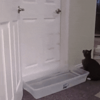 Acid GIFs, August 20 (25 gifs)