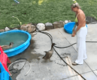 Acid GIFs, August 20 (25 gifs) Acid GIFs, August 20 (25 gifs)