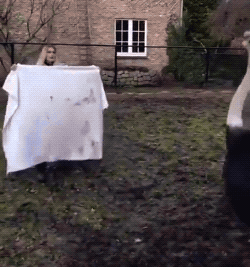 Acid GIFs, August 20 (25 gifs) Acid GIFs, August 20 (25 gifs)