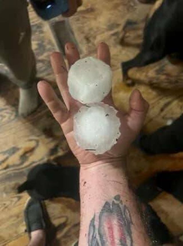 Interesting Finds (19 pics)