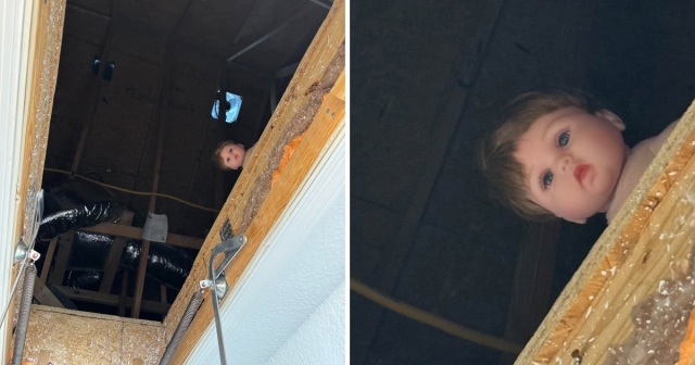 Scary Photos And Finds (15 pics)