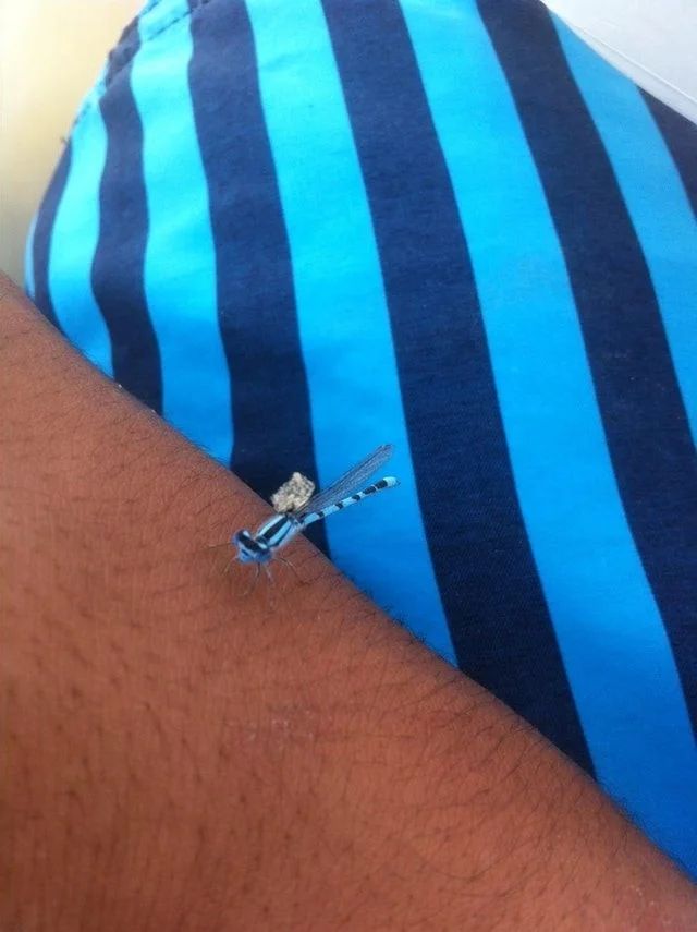 Unexpected Coincidences (16 pics)