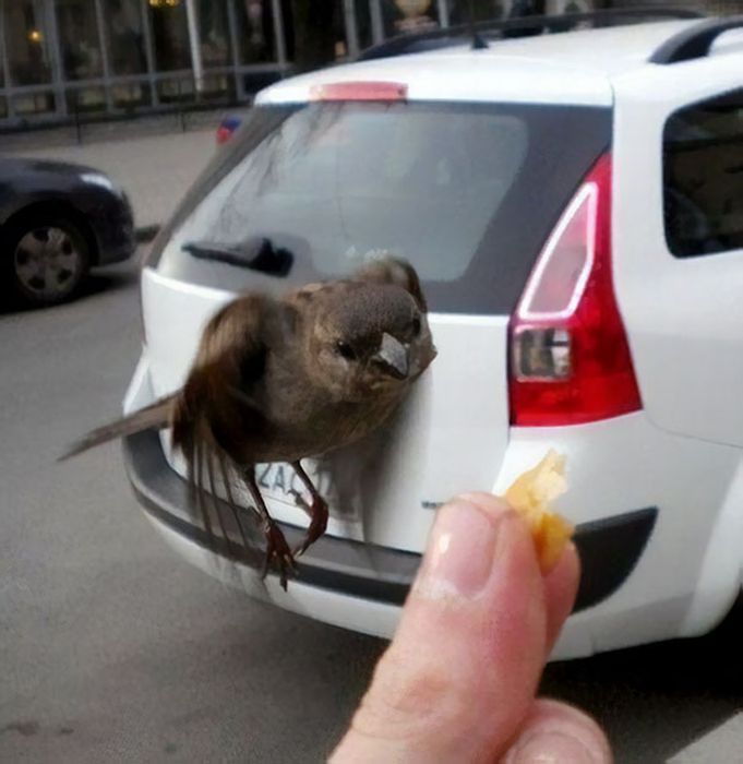 Right Moment (18 pics)