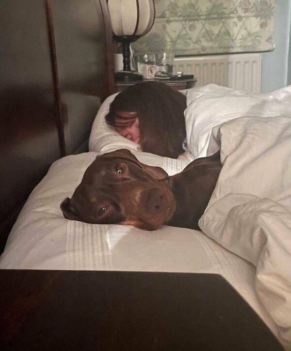 Daily Pictures. Part 1 (64 pics)