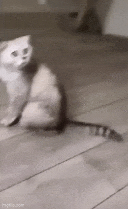 Acid GIFs, August 21 (25 gifs) Acid GIFs, August 21 (25 gifs)